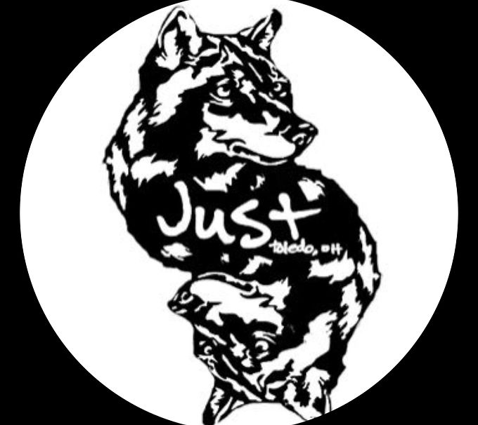 Just Skateboarding